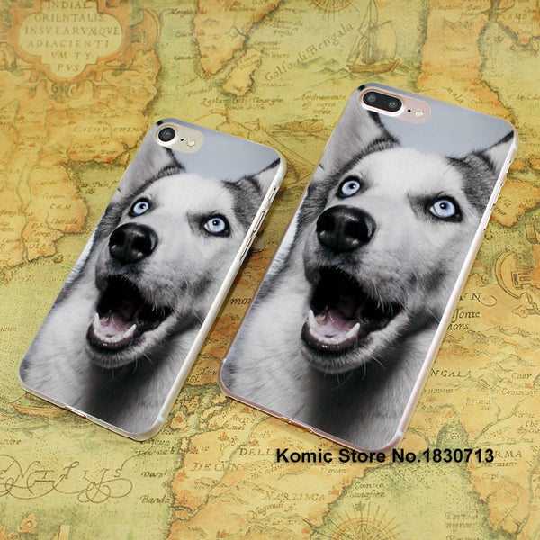 Siberian Husky Hard Case for iPhone 4/4s/4g, 5/5s/5c, 6/6s/Plus and 7/Plus