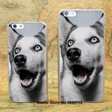 Siberian Husky Hard Case for iPhone 4/4s/4g, 5/5s/5c, 6/6s/Plus and 7/Plus